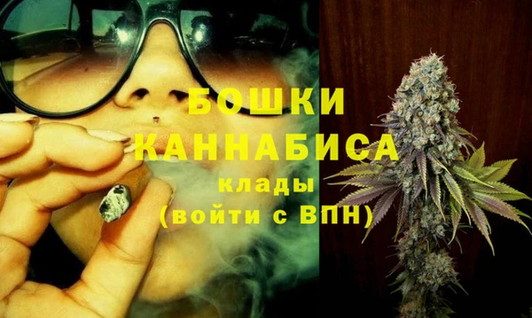 амф Пересвет