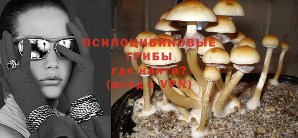 2c-b Покачи