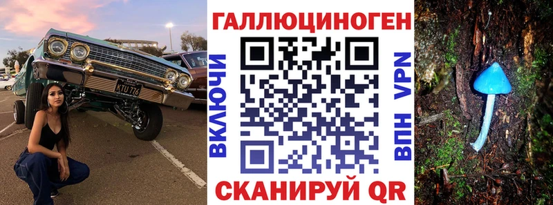 Галлюциногенные грибы Cubensis  как найти закладки  Камбарка 